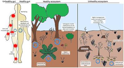 Global Change and the Soil Microbiome: A Human-Health Perspective